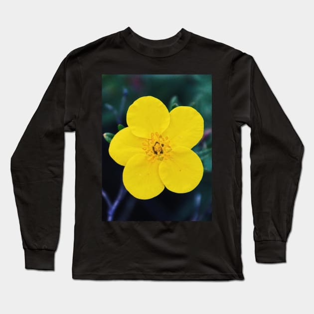 Five Long Sleeve T-Shirt by tessiaphoto